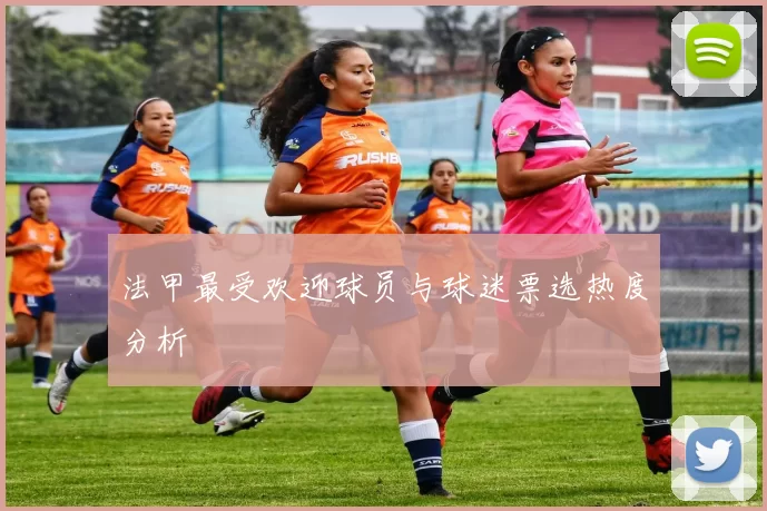 法甲最受欢迎球员与球迷票选热度分析