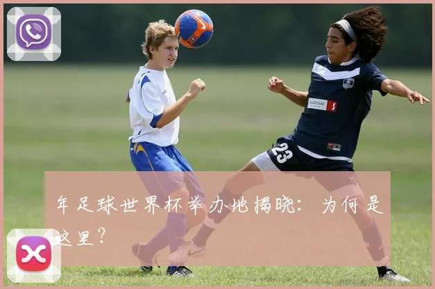 年足球世界杯举办地揭晓:为何是这里?