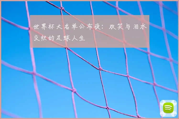 世界杯大名单公布夜：欢笑与泪水交织的足球人生
