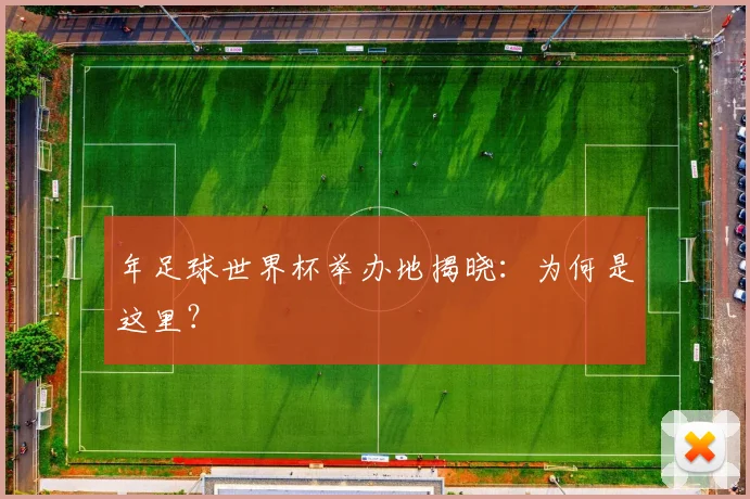年足球世界杯举办地揭晓：为何是这里？