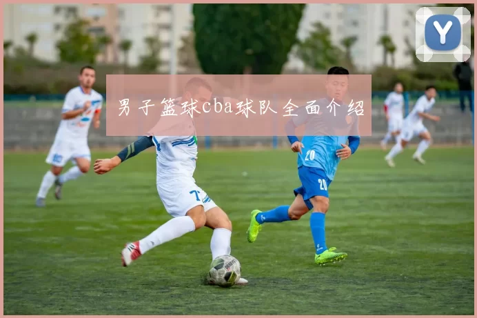 男子篮球cba球队全面介绍