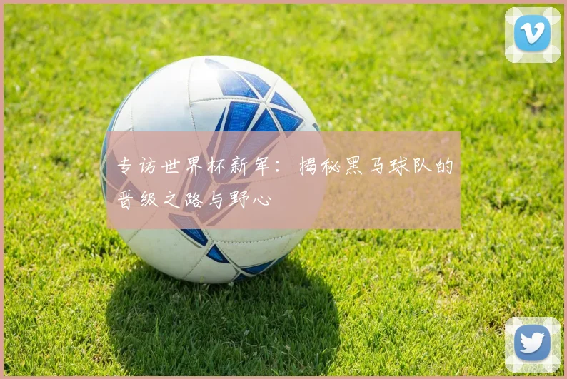 专访世界杯新军：揭秘黑马球队的晋级之路与野心