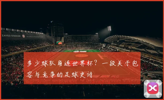 多少球队角逐世界杯？一段关于包容与竞争的足球史诗