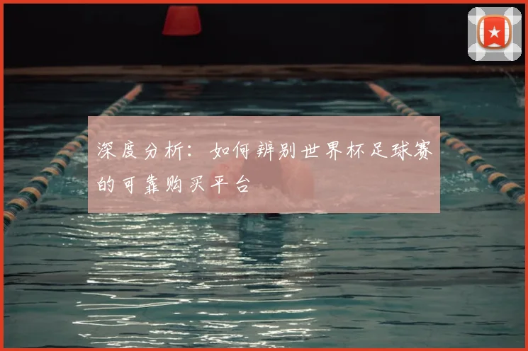 深度分析：如何辨别世界杯足球赛的可靠购买平台