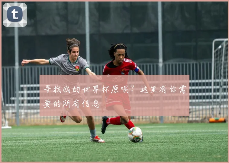 寻找我的世界杯原唱？这里有你需要的所有信息