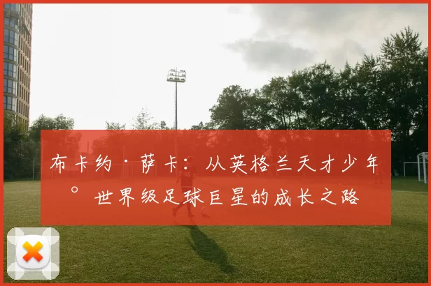 布卡约·萨卡：从英格兰天才少年到世界级足球巨星的成长之路