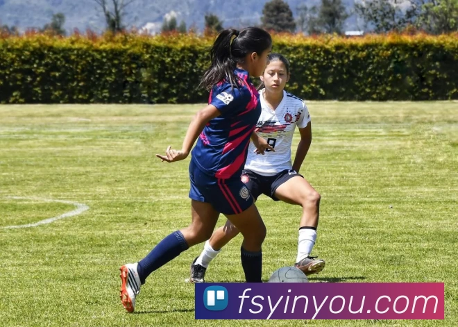 爱游戏官网APP 体育赛事宣传图